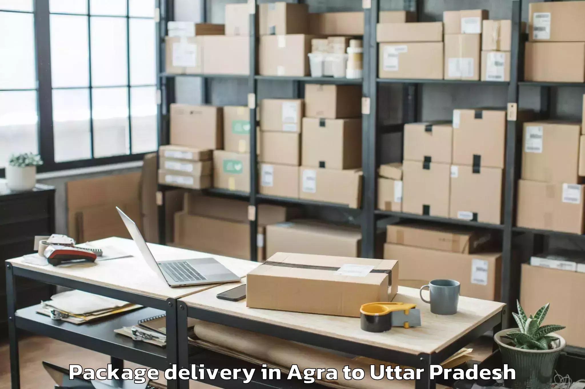 Reliable Agra to Maharishi University Lucknow Package Delivery